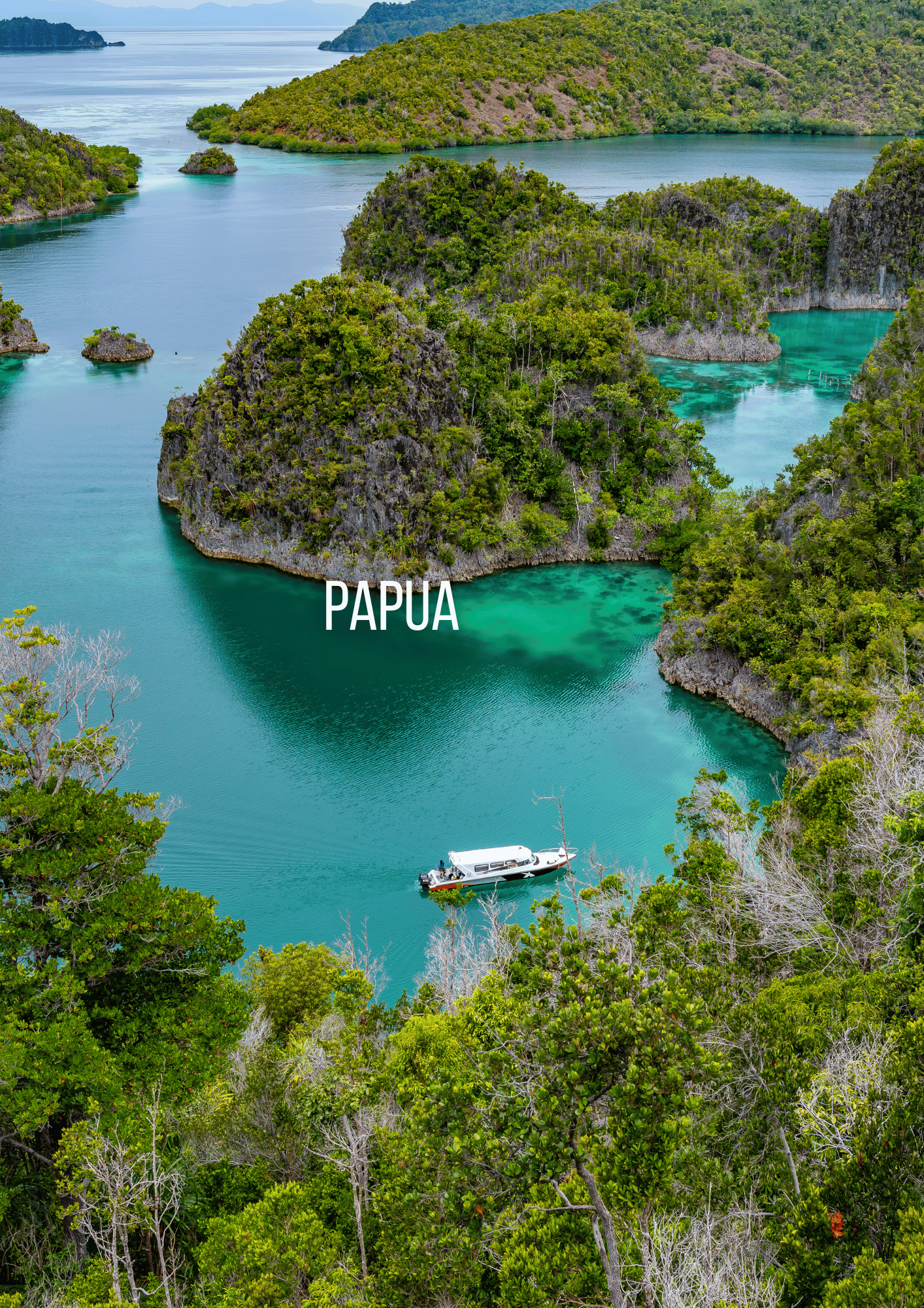 PAPUA