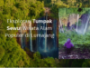 wisata alam tumpak sewu